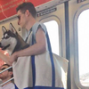 在紐約狗狗沒進籠就不准上地鐵，於是就出現了這一系列大型犬「裝好裝滿」的奇景XD