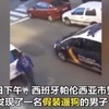 翻車了！西班牙網友外出遛「假狗」被警察逮住了！