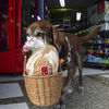 顧客呼叫了超市的「配送服務」，結果來了一隻狗！