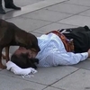 土耳其演員飾演傷者倒地，這時卻出現了一隻流浪狗…