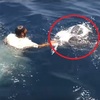 暖男漁夫在海上看到了這個奇怪的「漂浮塑膠袋」...靠近後竟發現是活生生的動物！