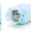 爆紅海豹Yuki醬今年新推「禮物包裝款」，超佛系表情的「豹枕」讓人受不了～