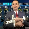 天氣預報員在家工作，因為「抱著貓報天氣」在網路上爆紅