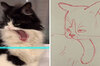 TikTok新濾鏡「變速掃描」拍攝的「變形貓狗」！被畫家模仿繪製之後笑翻網友！