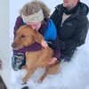 才九個月大的狗狗有著「超強嗅覺」，竟然因此救出另一隻被困在雪地裡的狗狗！