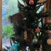 多了一個「裝飾」：澳洲女子回到家發現一隻「無尾熊」掛在聖誕樹上：「這是聖誕驚喜！」