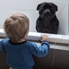 狗狗「每天晚上」都跑去鄰居家串門子，只為了能跟鄰居小孩一起「泡澡澡」