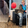 一群人在接待室等到無聊至極，小狗狗突然在室內玩起「頂氣球」讓所有人覺得心軟