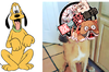 布魯托是什麼犬種？揭密迪士尼知名卡通中五大汪星人的真實身分！