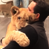 「請你抱抱我♡」當小獅子看見男子張開雙手時，竟不停「討抱抱」的可愛模樣讓人心暖！