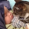 趁現在沒人注意...貓咪趁寶寶熟睡時，偷親他的櫻桃小嘴，親完後還依依不捨不願離開...太療癒了>