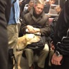 暖心！男子看到導盲犬累壞的樣子，貼心「出借」他的膝蓋讓狗狗休息！