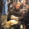導盲犬工作累到趴乘客腿上，暖男乘客大方出借雙腿和時間讓導盲犬靜靜休息