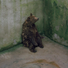 一隻熊孤伶伶的攤靠在水泥牆上，頭上一群小孩笑牠生不如死⋯⋯一張照片完美體現動物園的黑暗