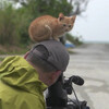 好奇心旺盛！小貓看到攝影師在拍照，竟跑到他頭上趴了下來：「朕正好缺一張龍椅」