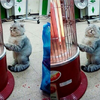 冬天甚麼的，我才不怕呢！七組貓咪使用暖爐的奇葩方式，讓貓奴哭喊：小心毛「臭輝搭」呀！