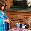 看似平凡無奇的小貓，卻改變自閉症女孩的人生