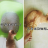 網友家停水只好讓三歲小孩在貓砂盆上廁所，喵星人：「你玷汙了我的王座」