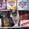 不務正業！貓咪店長悠哉的潛伏在商品架上... 客人一個不小心就把貓咪買回家了