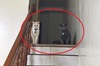 厚片黑貓站在小白貓旁邊...圓嘟嘟的臉讓網友笑噴：是誰說黑色顯瘦的！！