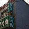 網友路過一家牛肉麵店，抬頭一看...獅子王你怎麼在這裡！？