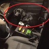 哪來的狗啊？！警車上突然出現一隻「黑嚕嚕」的狗，警察笑噴：你是來自首的嗎？