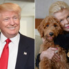 「抱歉，我不能把牠給你」這句話讓川普的「白宮第一狗」落空，或成為150年來第一位沒有養寵物的總統！