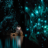 如仙境般的藍光星空！紐西蘭藍光蟲將漆黑洞穴點綴成閃爍的絕美星空！