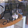 收容所的環境讓貓咪性情大變，這個女生開了間咖啡廳，讓這些貓咪更容易親近人！