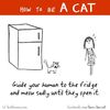 當貓守則101，插畫家用23張超可(欠)愛(揍)插畫教你如何當一隻很像貓的貓XD