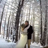 「讓你看見從未見過的景色」狗兒拍攝雪地裡的婚禮，完整紀錄主人幸福的瞬間！