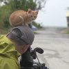 「你在幹嘛？陪我玩嘛~」超萌小橘貓用盡一切方式干擾攝影師工作，最後這個動作真的太犯規啦(♡˙︶˙♡)