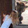 熊熊對妹妹一見鍾情，牠接下來的反應....真的讓看的人瞬間融化！（影片）