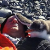 躺在南極地上睡個午覺，企鵝寶寶突然拜託我一件事....知道目的後真的融化啦！（影片）