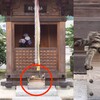 「要許願，就用罐罐換！」打算去神社拜拜，等到了一看差點笑死....網友笑噴：「這樣怎麼投錢啦！！」