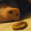 主人在熟睡的小豬仔前面放了一塊餅乾，結果牠的反應....讓看的人瞬間笑噴！（圖+影片）