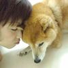 日本出現狗狗安養之家！該怎麼陪伴狗狗的晚年生活呢？