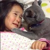 女兒踢到腳後進房卻看到貓貓正用他的小手幫女兒擦眼淚...網友暖爆「這樣的貓根本絕種啦！！！」（影片）