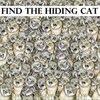 「貓咪到底在哪裡????」一張圖把網友搞到全崩潰！一分鐘內找出喵星人代表你智商至少140！