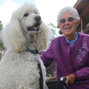 「躺著等死太無聊啦！」90歲罹癌老奶奶帶著8歲老犬一同踏上生命中最後的旅程