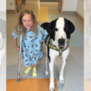 小女孩患病以為一輩子都只能坐在輪椅上，直到遇見了這隻大狗狗...超大轉變讓人好感動！