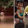 洪水來臨這隻狗狗卻被主人栓在屋外滅頂等死，暖男警察局長跳下水搶救並決定直接收編！