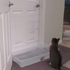 為了阻止喵皇進房間，於是主人在門口放了一盆水，沒想到這貓居然...看得主人都傻啦！！（影片）