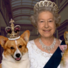 去年才說不再養狗...英國女皇卻又收編已故員工家的柯基，感人原因被網友大讚超佛心！