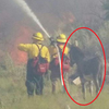 「你身邊就是最安全的地方！」害怕的小驢從加州野火逃出 堅持待在拯救牠的打火英雄身邊