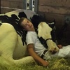 參加比賽卻沒得名次，男孩與他的愛牛累到一起午睡，照片卻贏得了網友們的心！