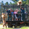 聰明的動物園想到新方法，來動物園參觀時被關在籠子裡的不應該是動物，而是人類！