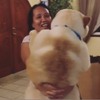 網友抱著一隻大狗笑的很開心，當狗狗轉到正面時...換大家都跟著笑出來了!!!