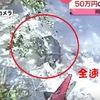 動物園陸龜離家出走「半個月」，用盡全速衝刺...結果只逃了140公尺就被抓回來XD