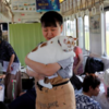 超療癒列車！邊搭火車邊抱貓...這些貓咪原本都會被安樂死，超棒方法將牠們都送往幸福！